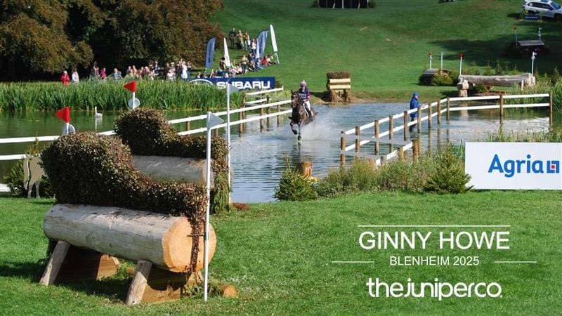 A horse riding on a race track