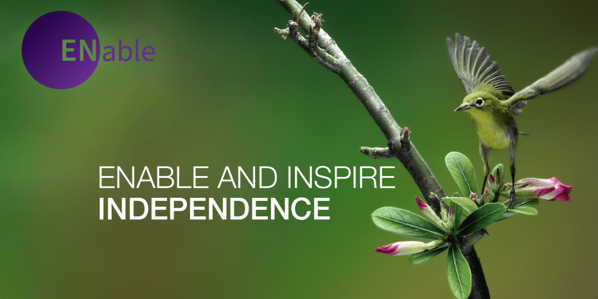 Our March snippet of inspiration image which is a small bird flapping its wings on branch