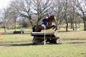 Ginny Howe on a horse jumping a fence 