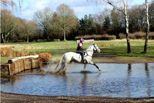 Ginny Howe on her horse in a pool of water , with a wooden jump behind them.