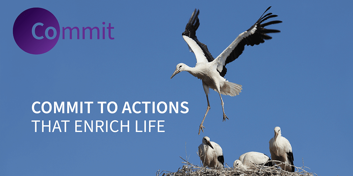Our March snippet of inspiration image: a stalk taking flight from a nest with 3 other stalks sitting in it. The words 'Commit to actions that enrich life' are next to the bird.