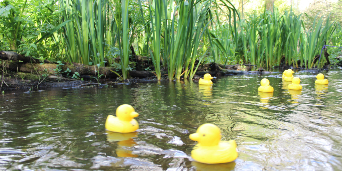 Have you been ‘Junipered’?