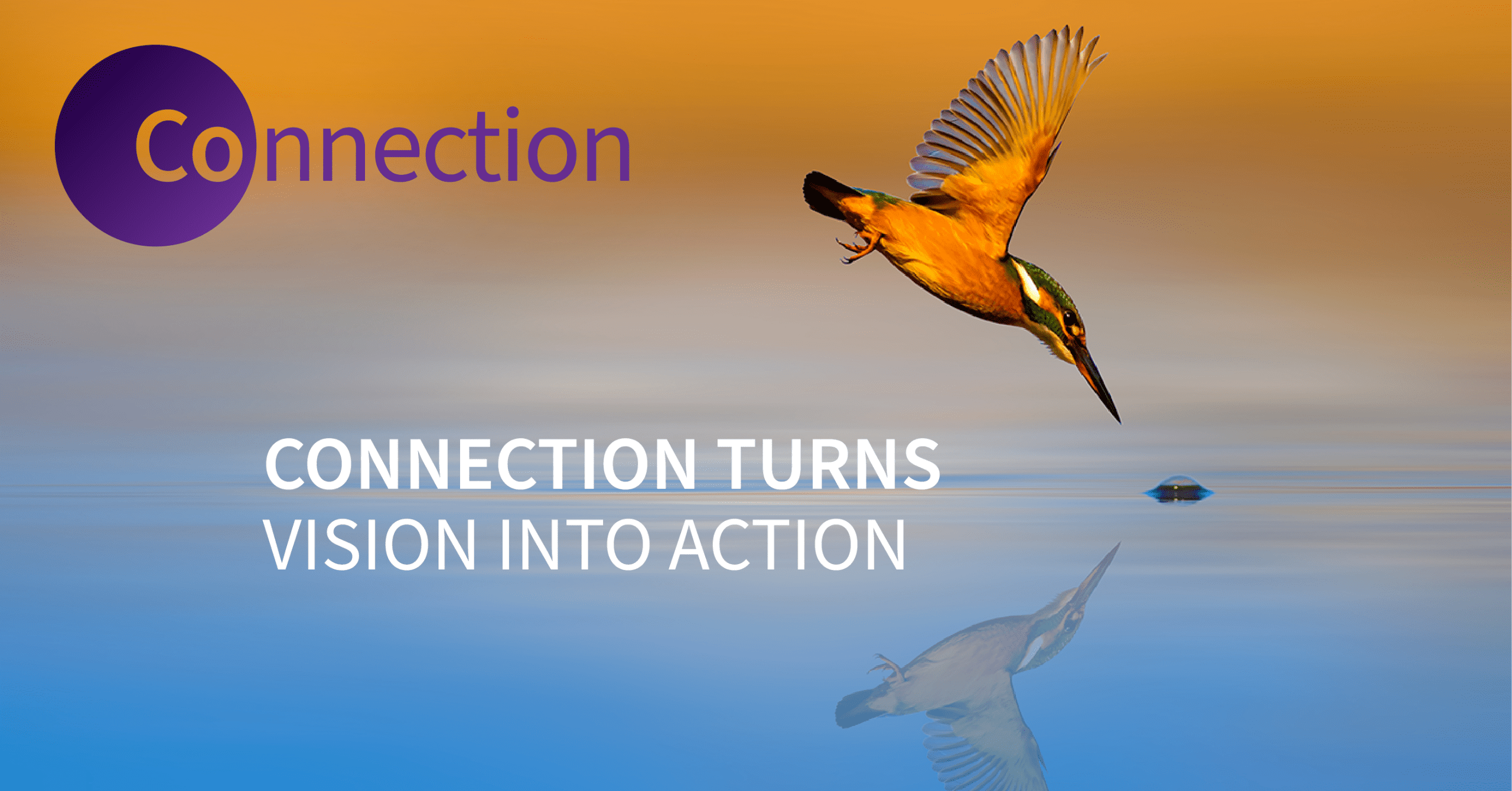 The Juniper Co. May snippet of inspiration image: a kingfisher about to dive into still blue water. The words 'connection turns vision into action' are underneath the kingfisher.
