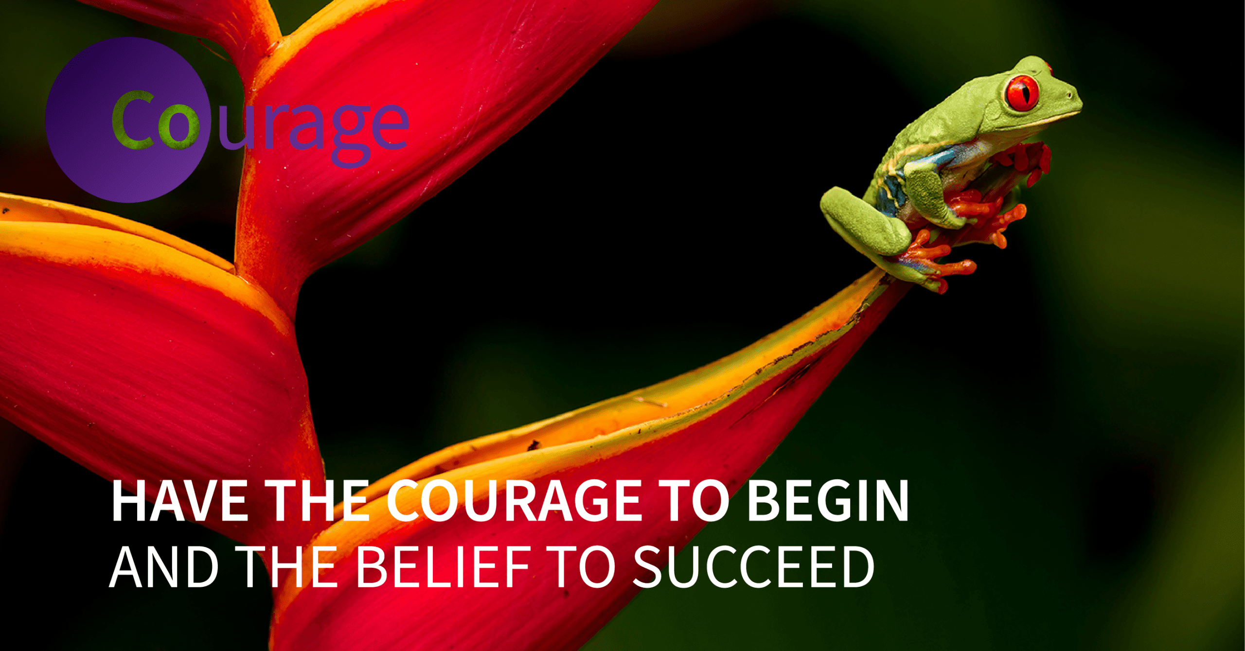 The Juniper Co. June snippet of inspiration image: a frog balancing on the edge of a tropical flower petal.